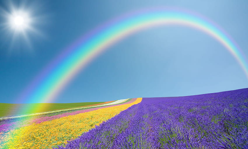 Paisaje naturaleza campo campos flores flores púrpura amarillo verde arco iris cielo sol, lavanda y verde fondo de pantalla