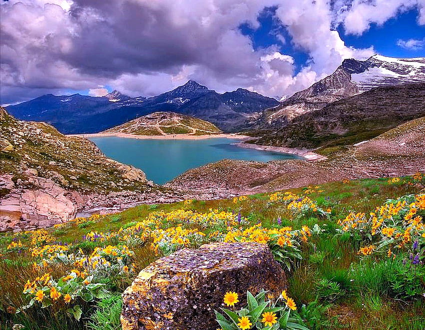 Piękna sceneria, kwiaty, góry, jezioro Tapeta HD