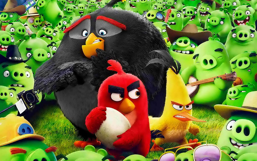 Angry birds, colorful, cartoon, birds, toys, kids, film, pretty, movie, funny, angry HD wallpaper