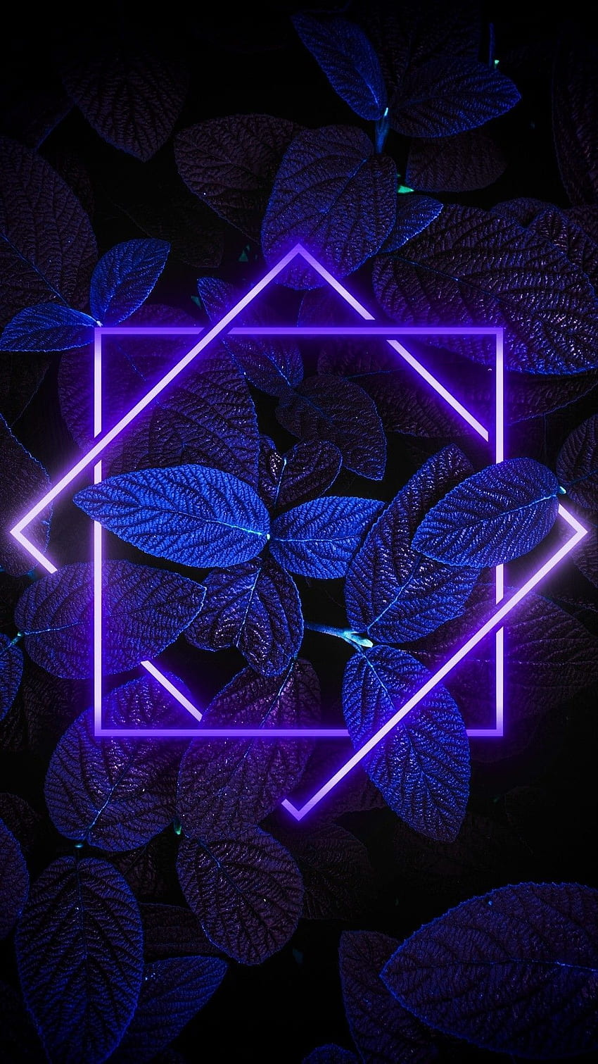 Awesome For Aesthetic Neon iPhone 11, Neon Plants HD phone wallpaper