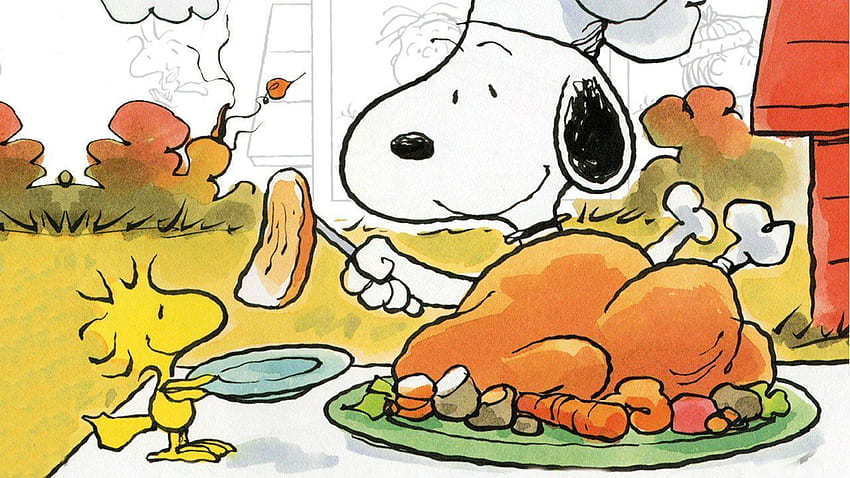 Peanuts thanksgiving, Funny Thanksgiving HD wallpaper