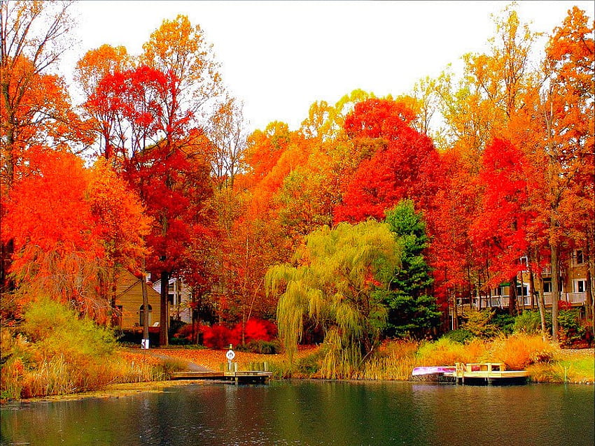 秋の色、景色、秋、色、美しい 高画質の壁紙