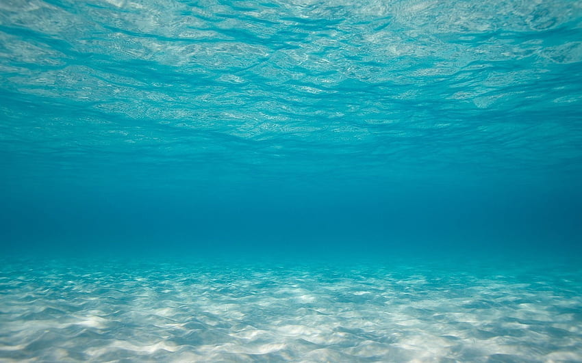 Underwater Background, Ocean Floor HD wallpaper