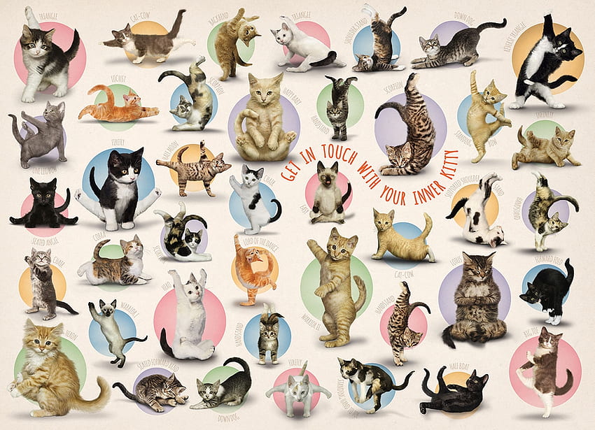 :), kitten, animal, yoga, cute, cat, collage, pisica, creative, fantasy, texture, funny HD wallpaper