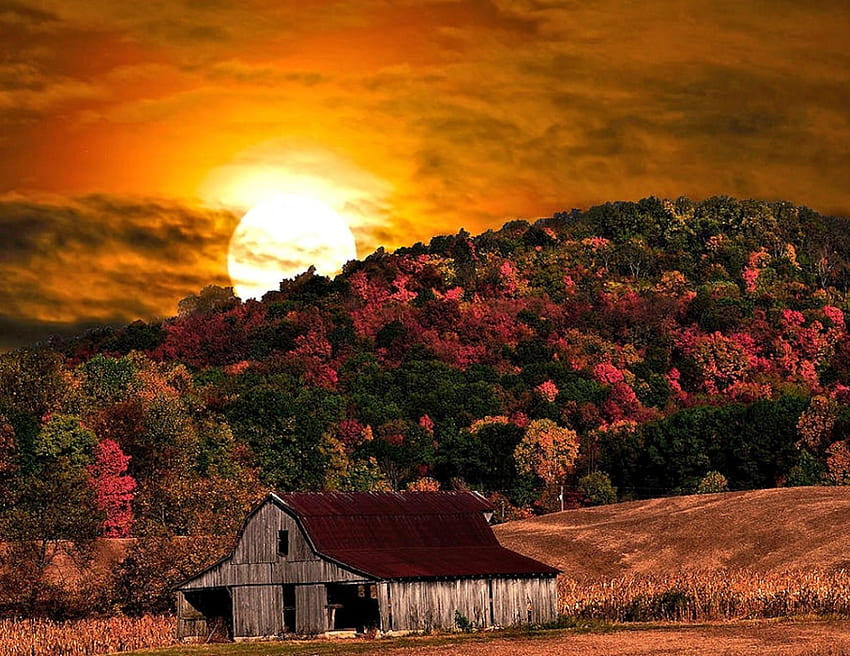 Harvest Moon, Landscape, Nature, House, Moon HD wallpaper