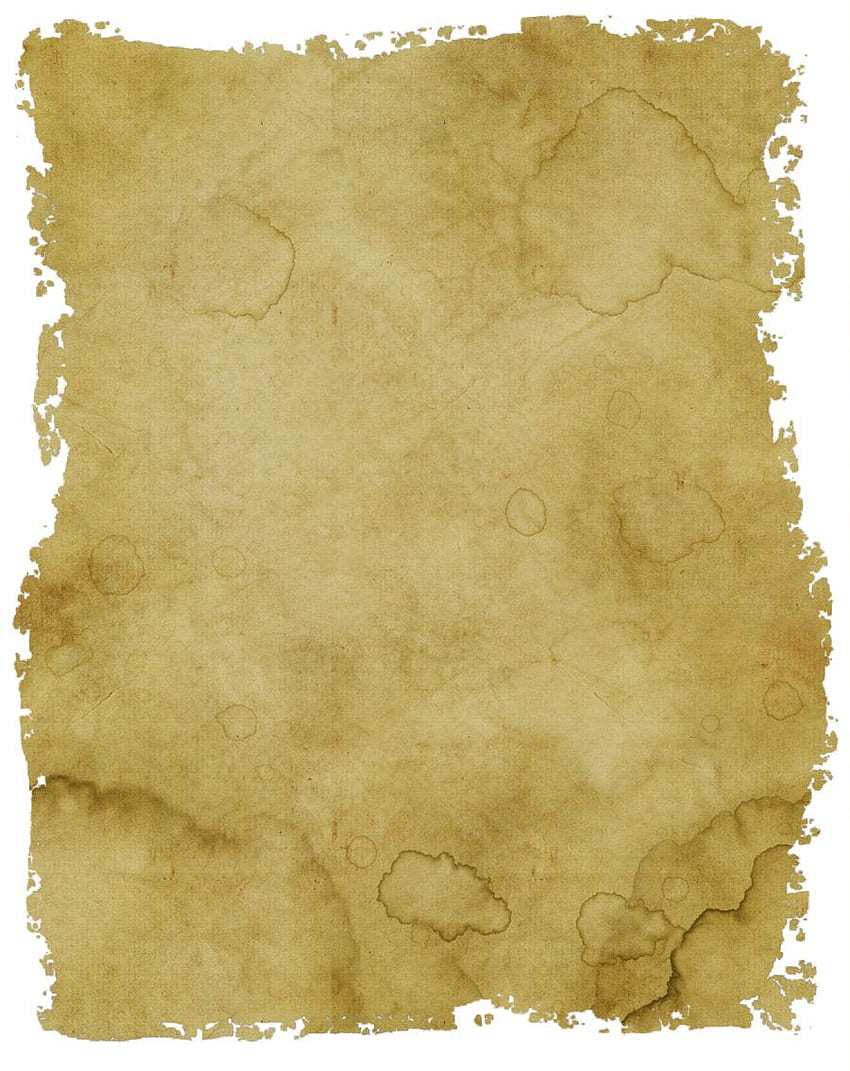 Parchment Paper Background and, Scroll Paper HD phone wallpaper