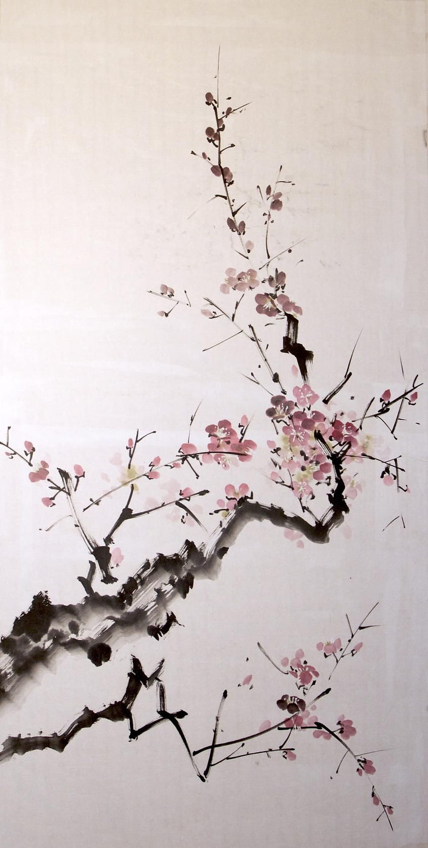 Sumi E Prugna. Arte dei fiori di ciliegio, pittura dei fiori di ciliegio, arte dei fiori Sfondo del telefono HD