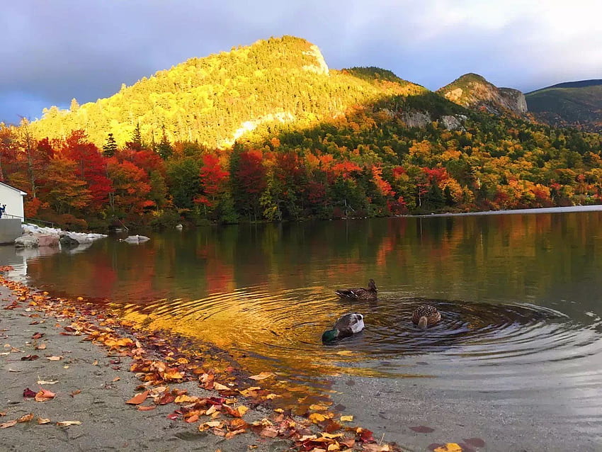 Щатският парк Ellacoya в Нова Англия през есента, езера, есен, планини, природа, есен HD тапет