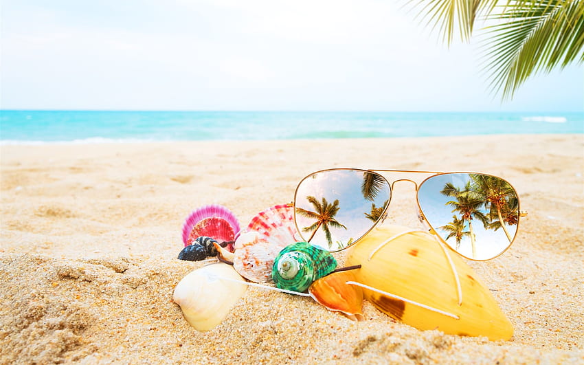 Sunglass, seashell, beach, sea U, Beach Sunglasses HD wallpaper