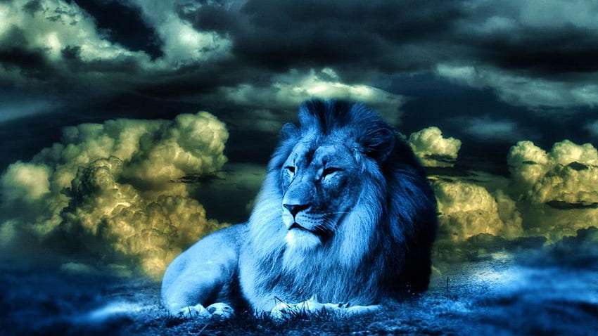 LION IN BLUE LIGHT, grandes felinos, a vida selvagem, filhote, pequenos gatos, gatos, natureza, leão papel de parede HD