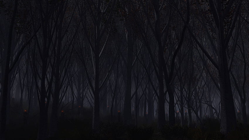 Forest Dark Resolution , , Background, and, Horror Forest HD wallpaper |  Pxfuel