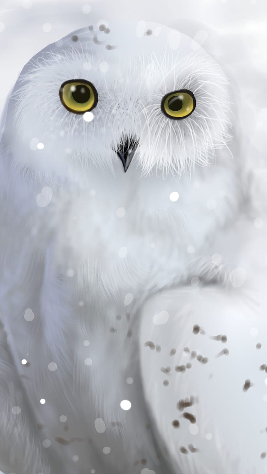 cute owl backgrounds for iphone