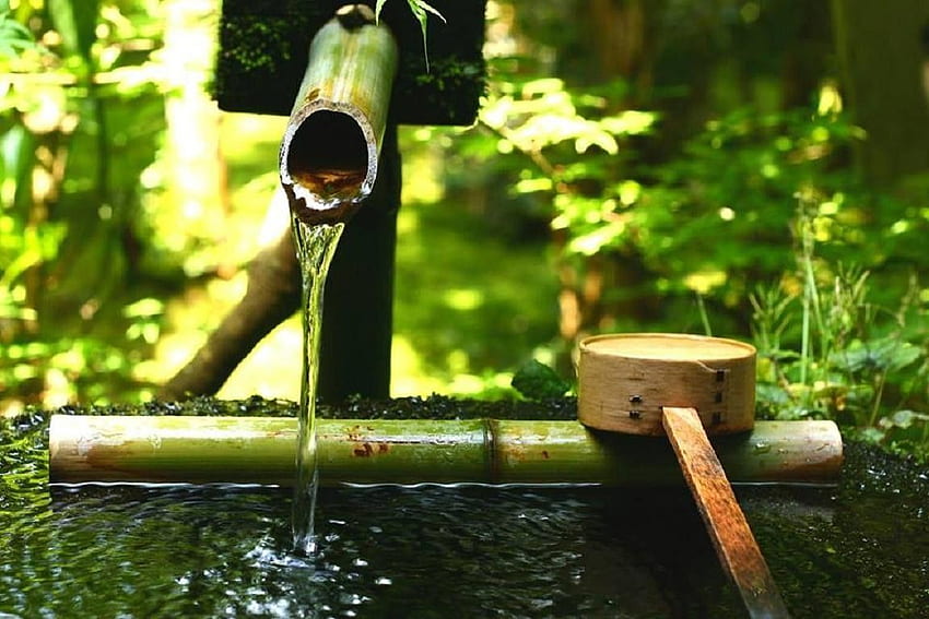 竹の庭 日本の水 つくばい 日本 自然のお寺、リラックスした日本語 高画質の壁紙