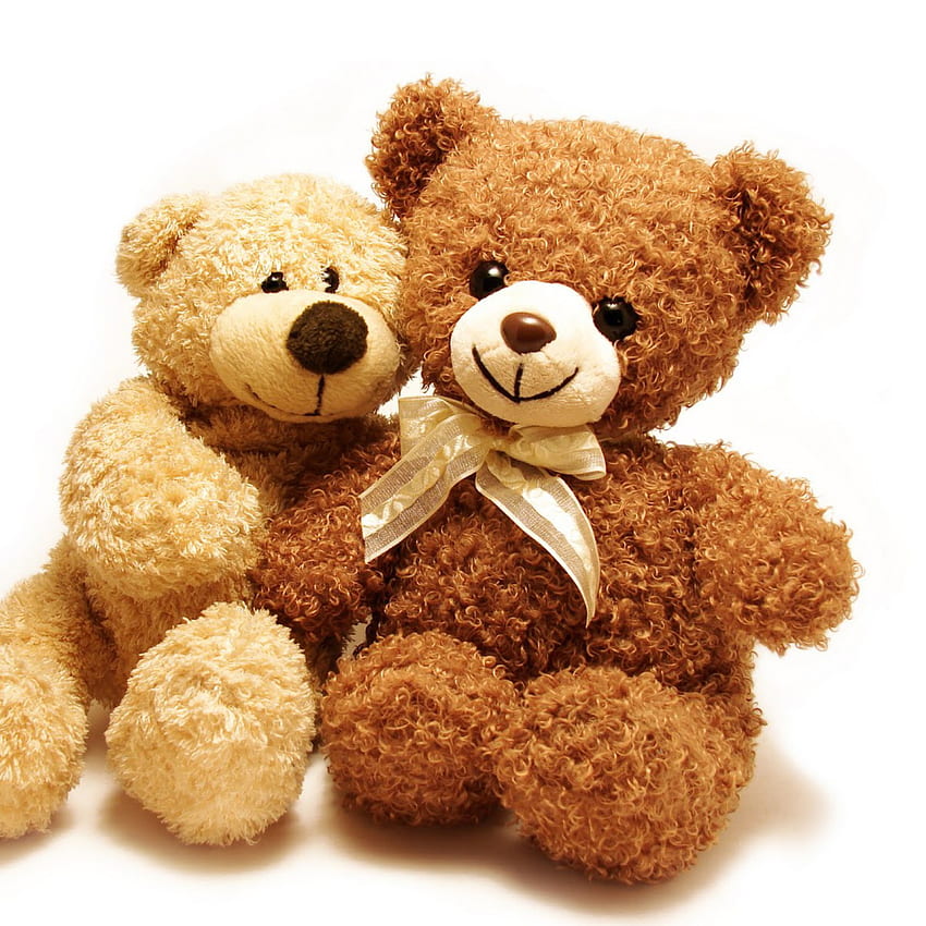 Hugging Girl Teddy Bear, Teddy Bear Face HD wallpaper