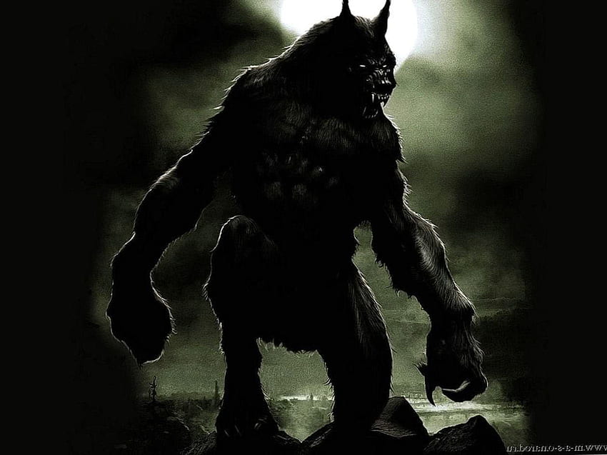 Van Helsing Werewolf Wolf .pro, Van Helsing Dracula HD wallpaper