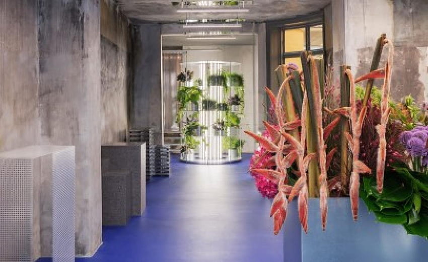 Un negozio di fiori architettonico Tableau apre a Copenaghen. * Sfondo HD
