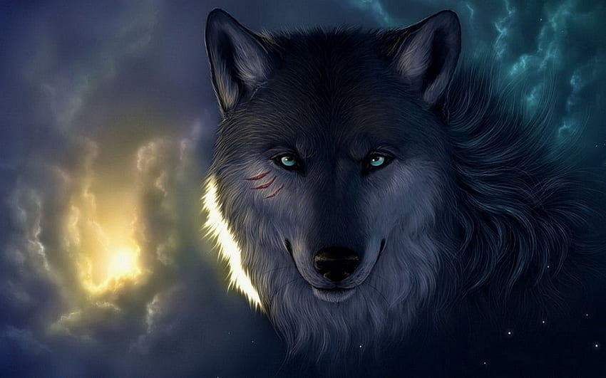 Lobo Completo e Fundo, Alpha Wolf papel de parede HD