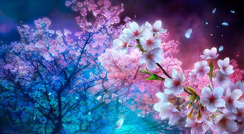 14 Anime Cherry Blossom, lofi cherry blossoms HD wallpaper | Pxfuel