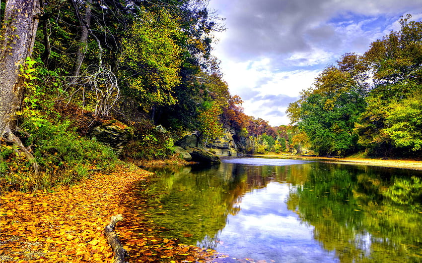 풍경 가을 산 강 Mirna 낙엽 숲 가을 색상 노란색 낙된 엽 해안 바위와 나무 둘러싸인 하늘 회색 구름, 서사시 숲 HD 월페이퍼