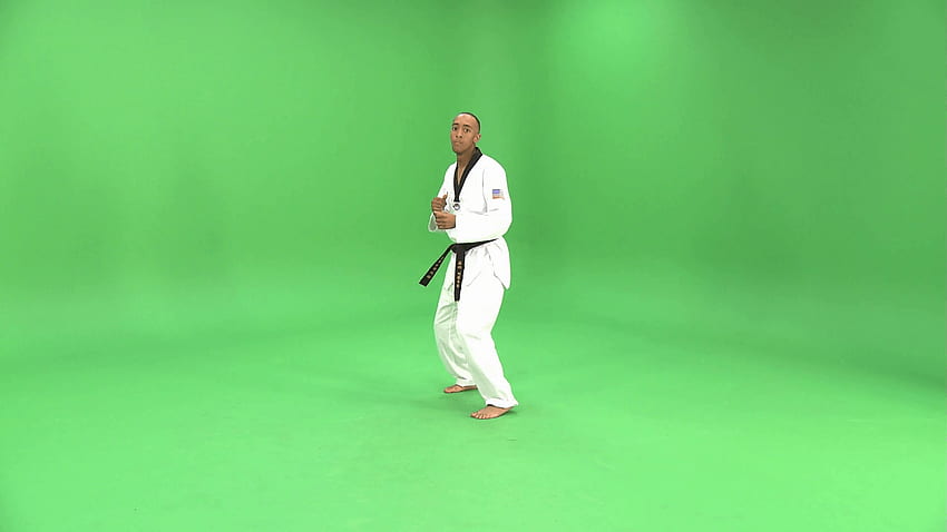verde: Taekwondo Black Belt demuestra artes marciales fondo de pantalla