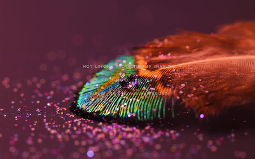 rainbow feather green sprinkles red glitter, Colorful Feather HD wallpaper