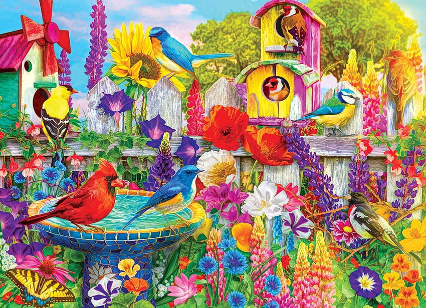 pássaros, coloridos, casas, música papel de parede HD