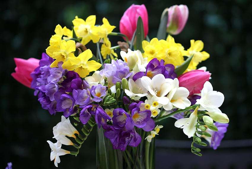 flores, tulipanes, narcissussi, ramo, florero, sia fondo de pantalla