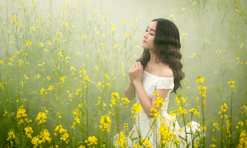 Softness Beauty, softness, brunette, yellow, field, Model, flowers, ethereal, beauty HD wallpaper