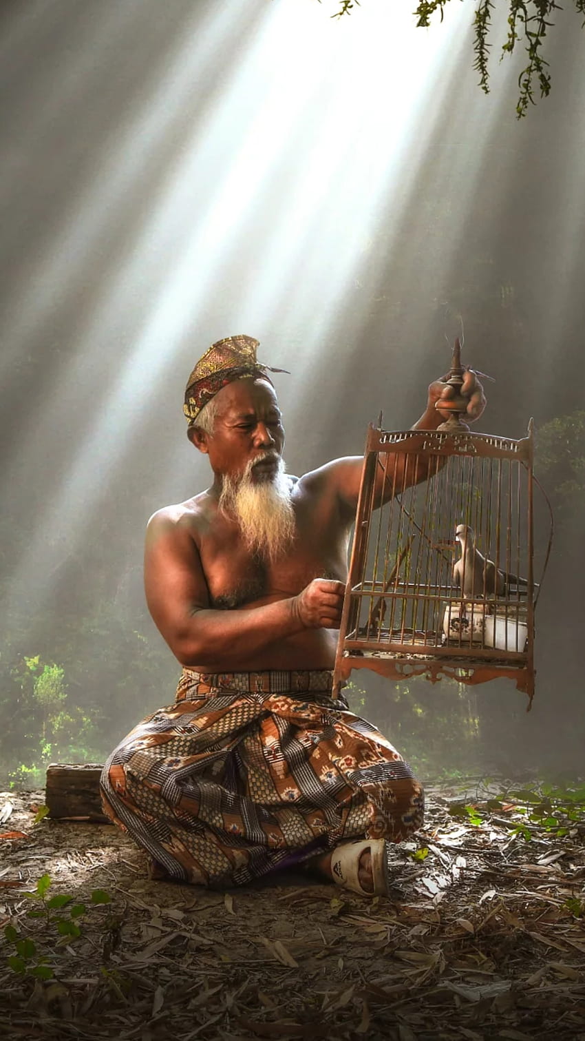 Uomo cinese, gabbia, porcellana, natura, uccello, aria fresca, prendersi cura Sfondo del telefono HD