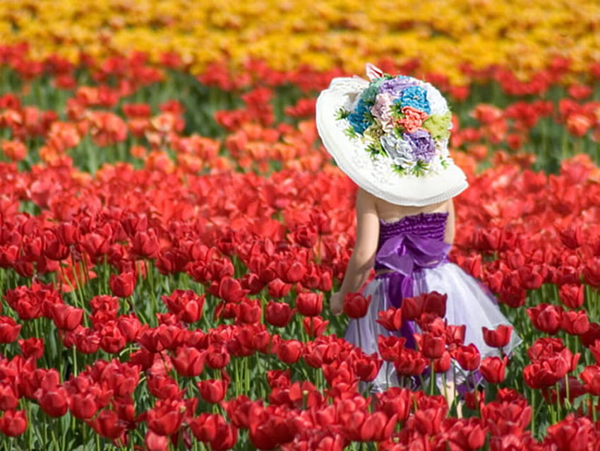 tulips, colorful, kid, flowers, field HD wallpaper