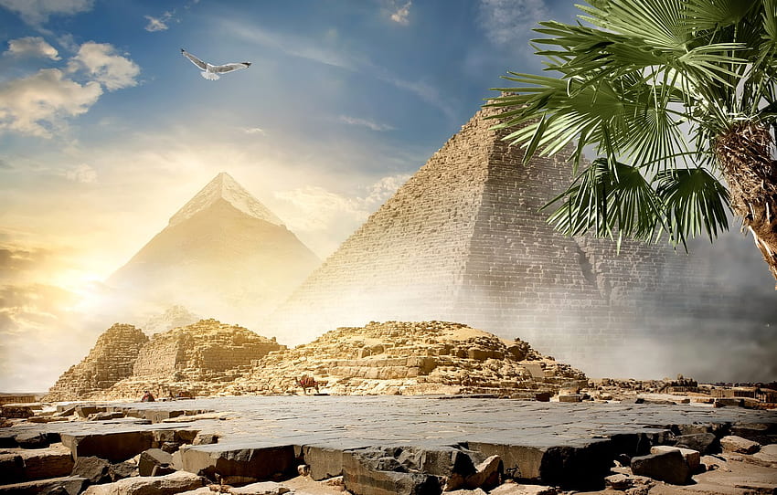 el cielo, el sol, las nubes, Palma, piedras, pájaro, desierto, lúpulo, Egipto, pirámide, camellos, El Cairo para, sección пейзажи, Egipto Dibujos animados fondo de pantalla