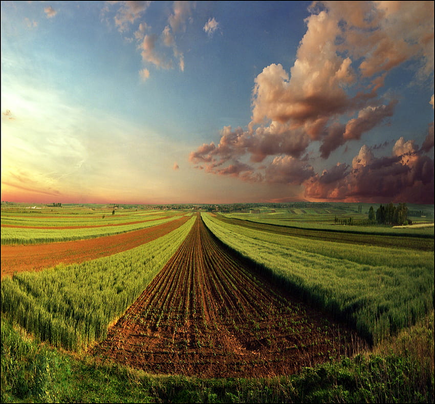 Campo pacífico, paisajes, nubes, campos, granjas, cielo, paz. fondo de pantalla