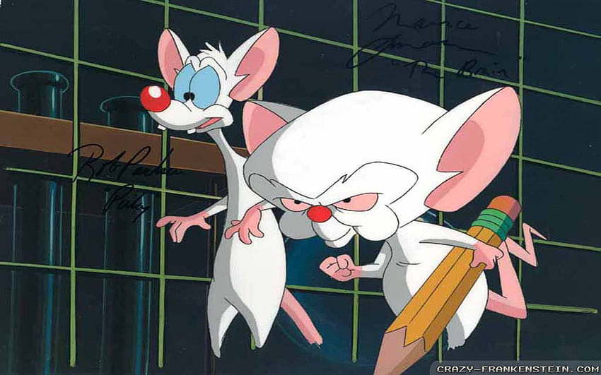 Pinky, Pinky and the Brain HD wallpaper