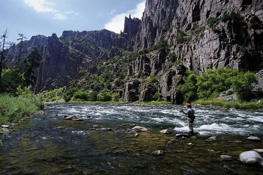 Fly fishing, fish, nature, mountains, water HD wallpaper