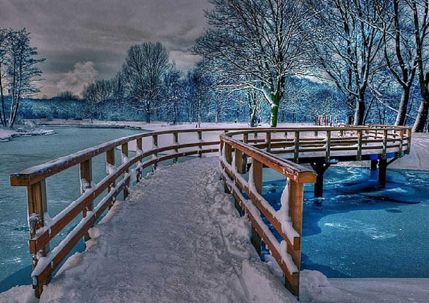 Frosty bridge., winter, river, frost, snow, fence, bridge, tree HD wallpaper