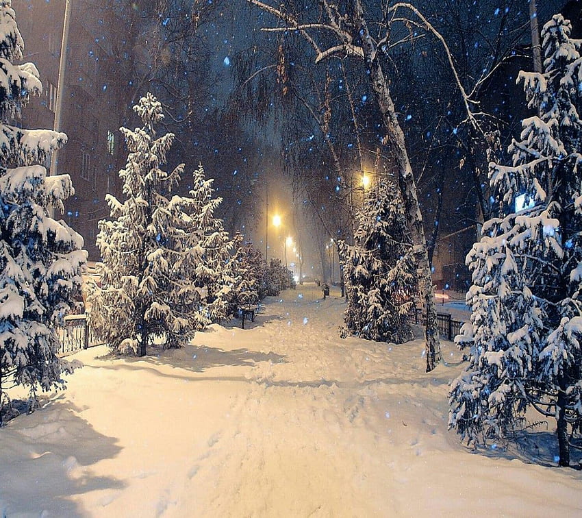 winter snowfall by SlLVER - bb now. Browse millions of popular glow Wallpap in 2021. Snowfall , Nature graphy HD wallpaper