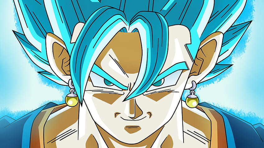 Vegito Super Saiyan Blue DBS Goku. Tapeta HD