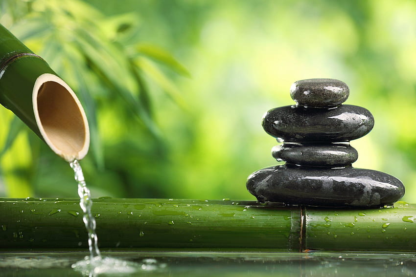 бамбук вечнозелена вода зелени стъбла камъни черен плосък баланс на ума, дзен вода HD тапет