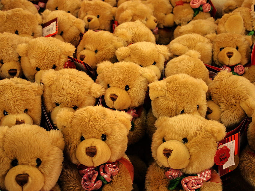 ตุ๊กตาหมีแสนหวานสำหรับทุกคนใน DN พร้อมอ้อมกอดอันอบอุ่น หวาน น่ารัก ตุ๊กตาหมี วอลล์เปเปอร์ HD