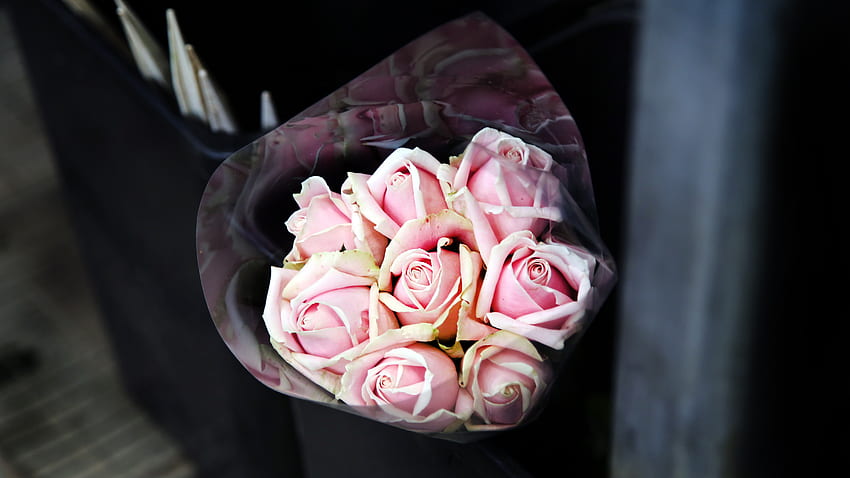 Flowers, Roses, Pink, Bouquet HD wallpaper