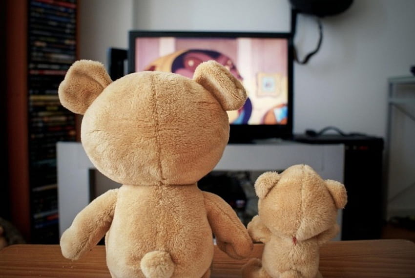 Teddy bears, toy, teddy bear, bear, teddy, graphy, cool, , nice HD wallpaper