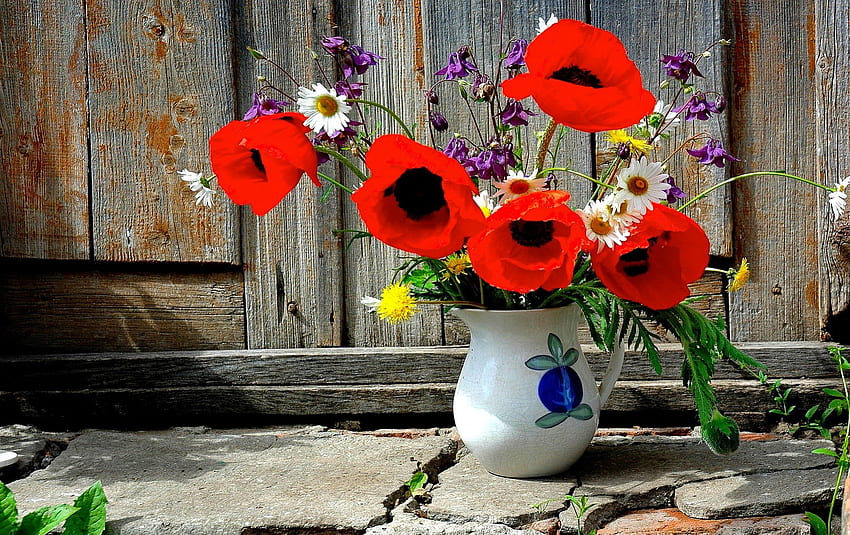 Poppies, karangan bunga, bagus, keharuman, halaman, vas, Cantik, segar, musim panas, masih hidup, cantik, bidang, kesegaran, merah, alam, aroma, bunga, menyenangkan Wallpaper HD