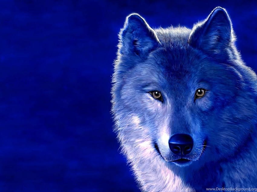 Cool wolves backgrounds HD wallpapers | Pxfuel