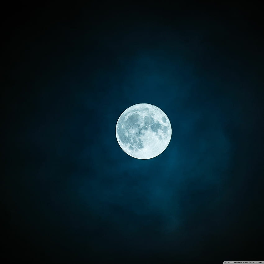 Full Moon : , , for PC and Mobile. for iPhone, Android, Night Moon HD phone wallpaper