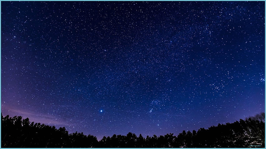 Panoramic Night Sky Stars Forest High Quality - Night Sky And Stars HD wallpaper