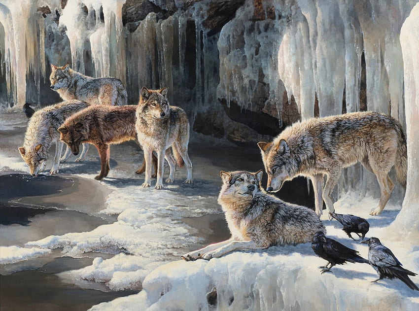 Eisiges Versteck, Winter, Kälte, Wölfe, Tiere HD-Hintergrundbild