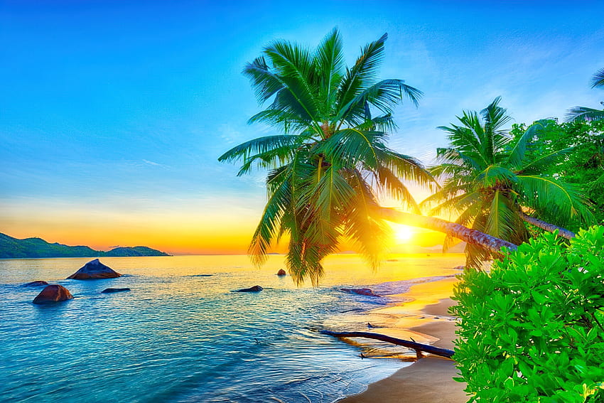 Seychelles, tropis, eksotik, firdaus, cantik, pantai, liburan, musim panas, istirahat, pasir, langit, matahari, samudra, pulau, sinar, matahari terbit, cakrawala, telapak tangan, laut Wallpaper HD