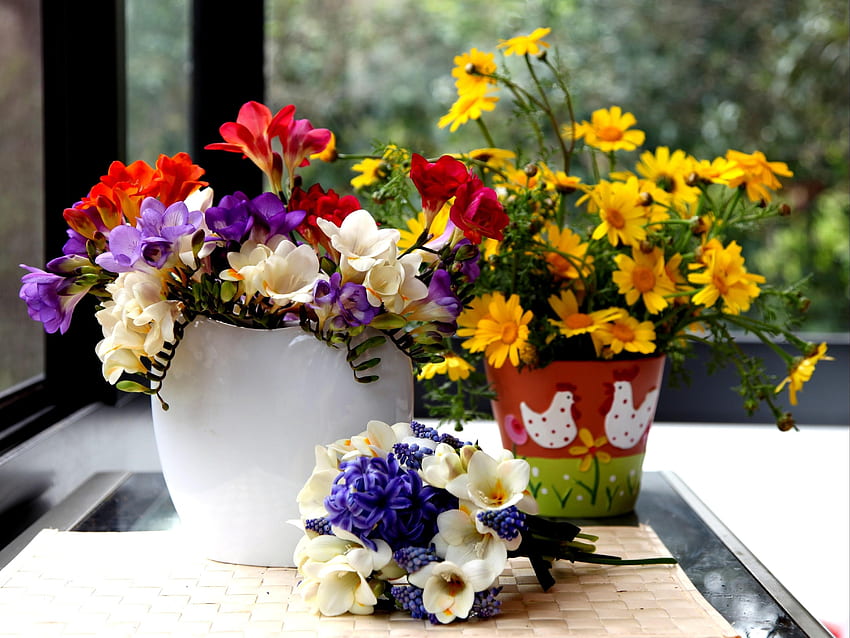 Blumen, Kamille, Hyazinthe, Blumenstrauß, Tisch, Vase, Topf, Krokusse, Muskari, Muscari HD-Hintergrundbild