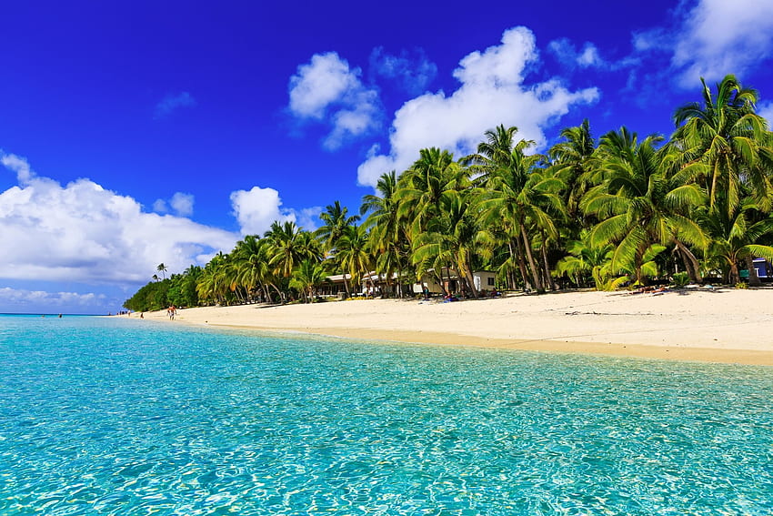 Tropical Sandy Beach Paradise, ヤシの木, 自然, 大洋, ビーチ, 熱帯 高画質の壁紙