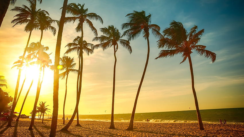 ชายหาดเขตร้อน พระอาทิตย์ตกที่สวยงาม ต้นปาล์ม ทะเล ผู้คน พลบค่ำ ต้นมะพร้าว • For You For & Mobile, Sunset Palm Aesthetic วอลล์เปเปอร์ HD